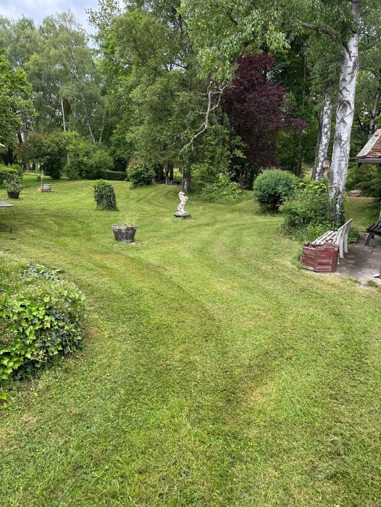 Rasenpflege Ergebnis